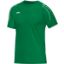 Afbeeldingen van T-shirt Classico sportgroen